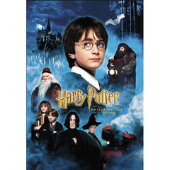 Diamanteffekt DIY 5D Painting/Stickerei Strass Glitzersteine Harry Potter Lord Voldemort