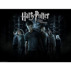 Diamanteffekt DIY 5D Painting/Stickerei Strass Glitzersteine Harry Potter Lord Voldemort